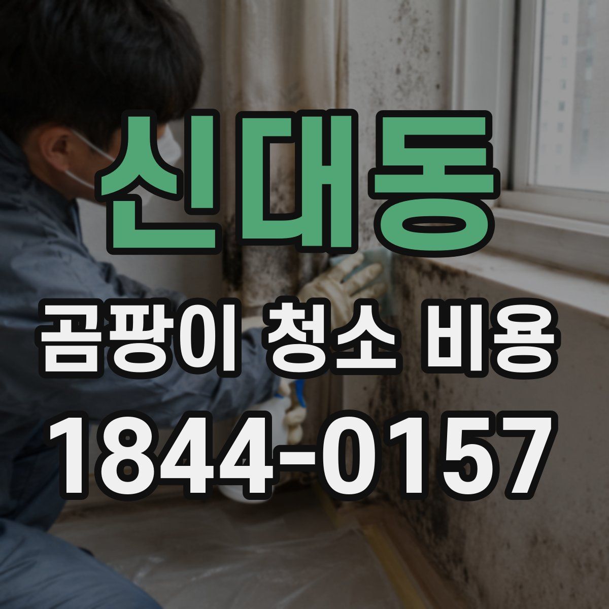 신대동 곰팡이 청소 비용