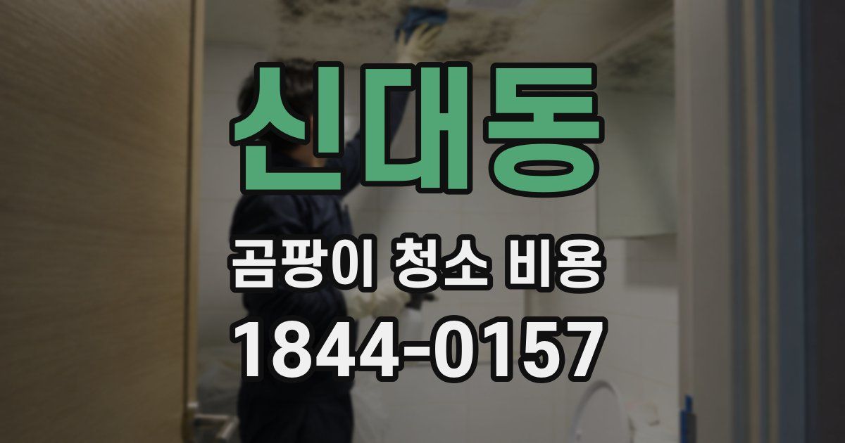 신대동 곰팡이 청소 비용