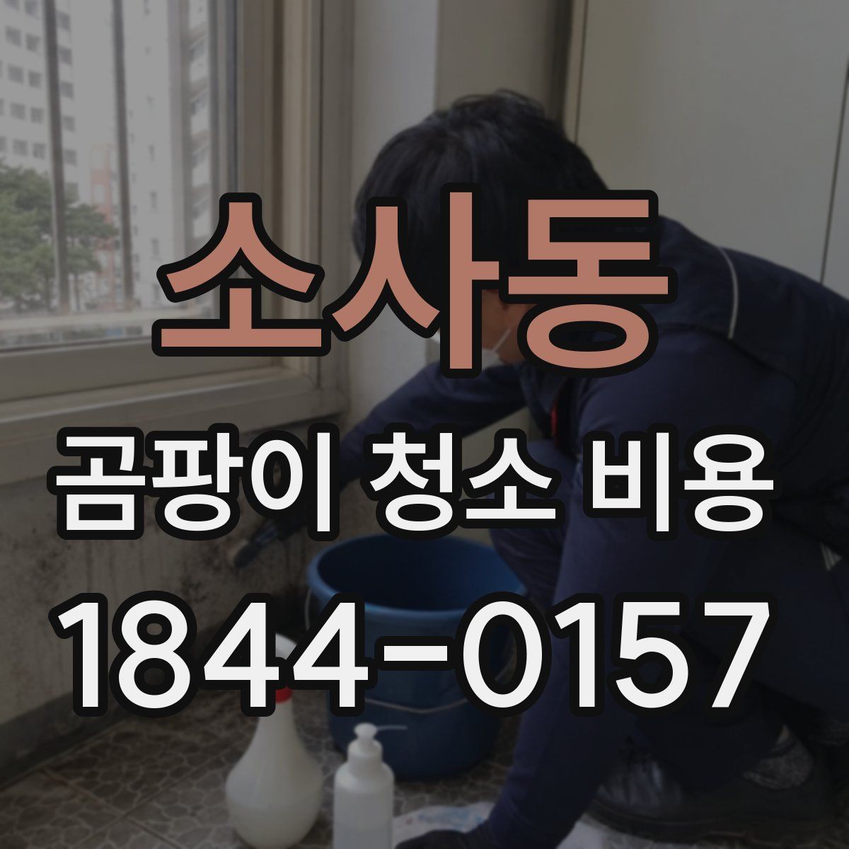 소사동 곰팡이 청소 비용