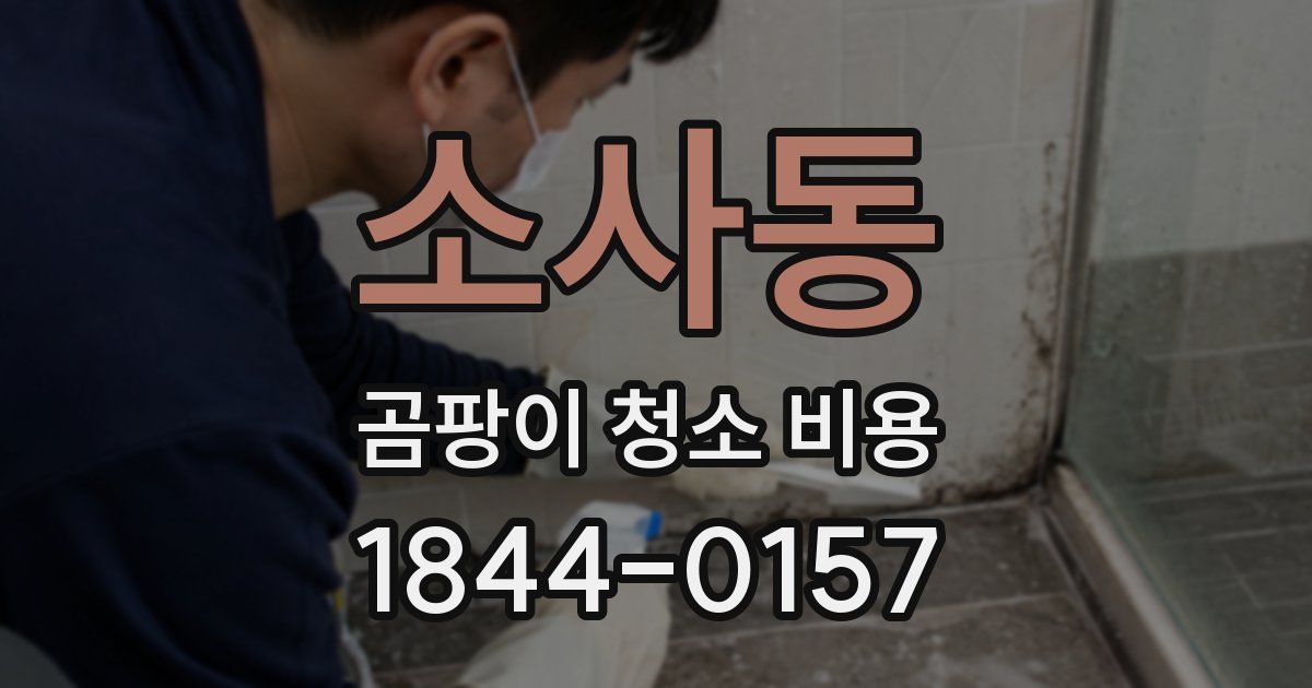 소사동 곰팡이 청소 비용