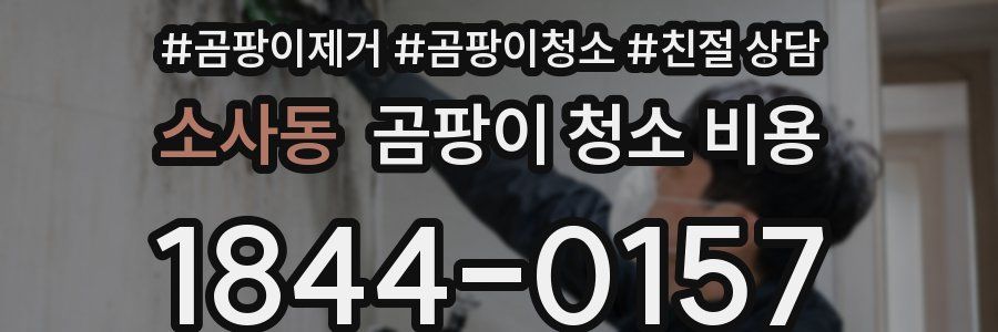 소사동 곰팡이 청소 비용