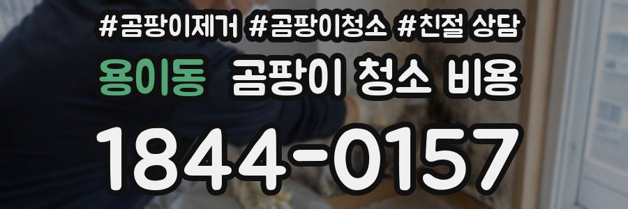 용이동 곰팡이 청소 비용