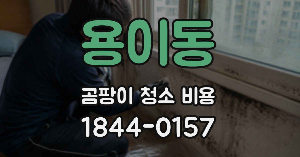 용이동 곰팡이 청소 비용