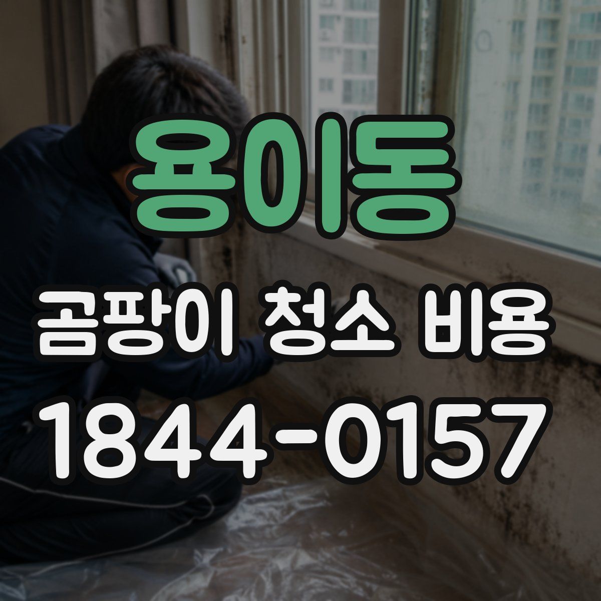 용이동 곰팡이 청소 비용
