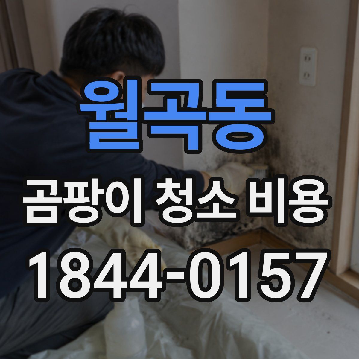 월곡동 곰팡이 청소 비용