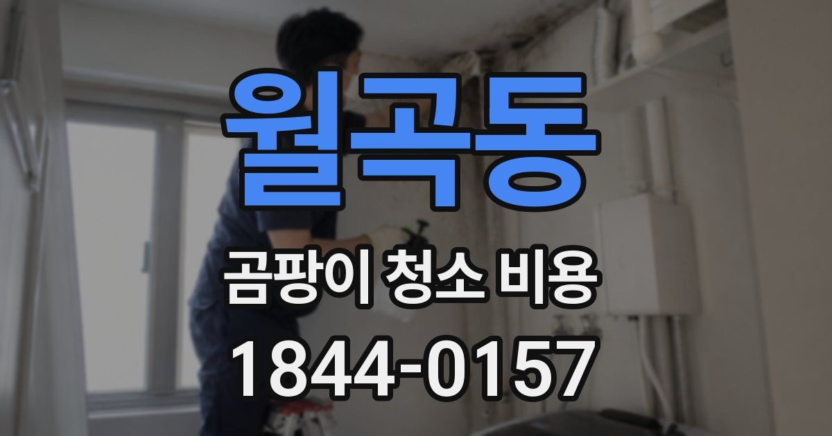 월곡동 곰팡이 청소 비용