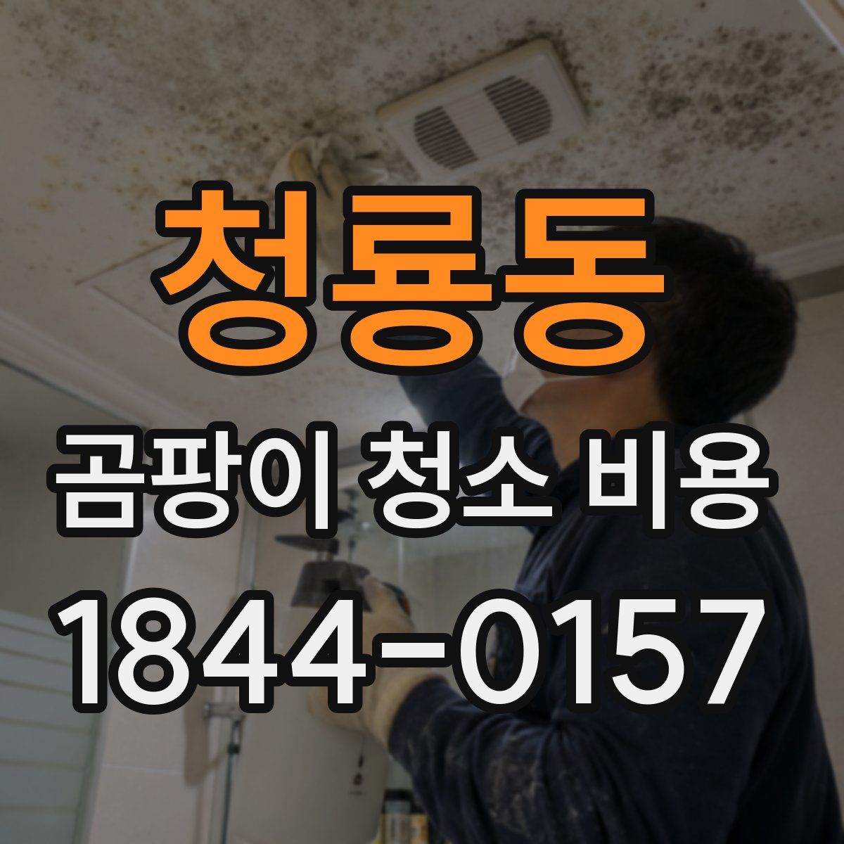 청룡동 곰팡이 청소 비용