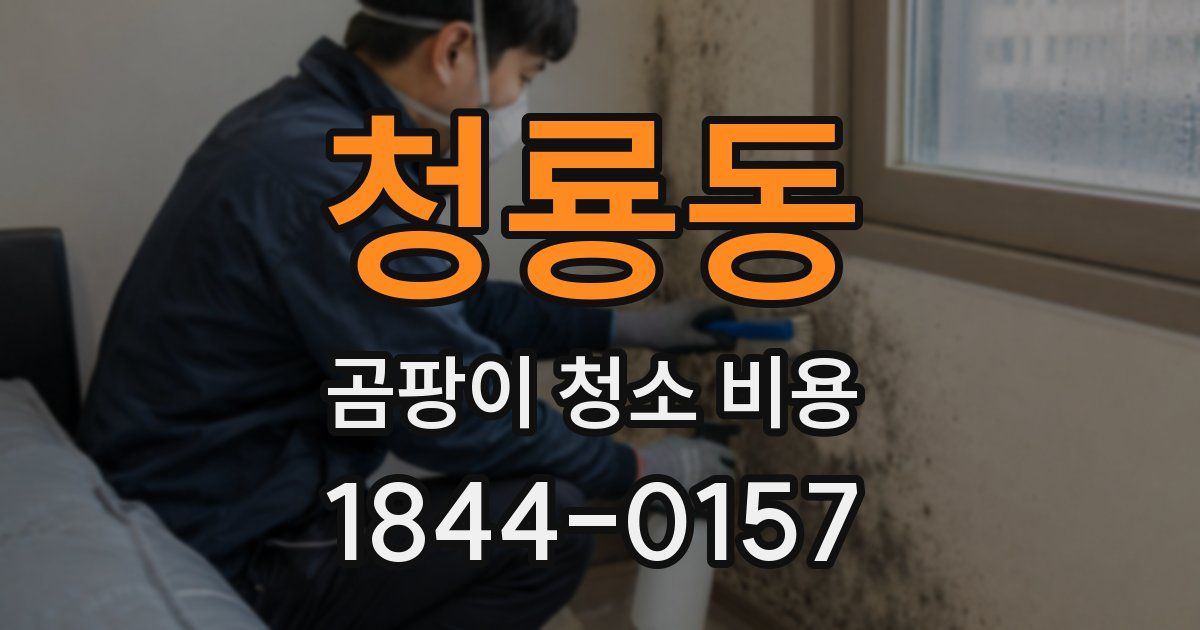 청룡동 곰팡이 청소 비용