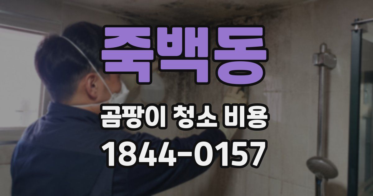 죽백동 곰팡이 청소 비용