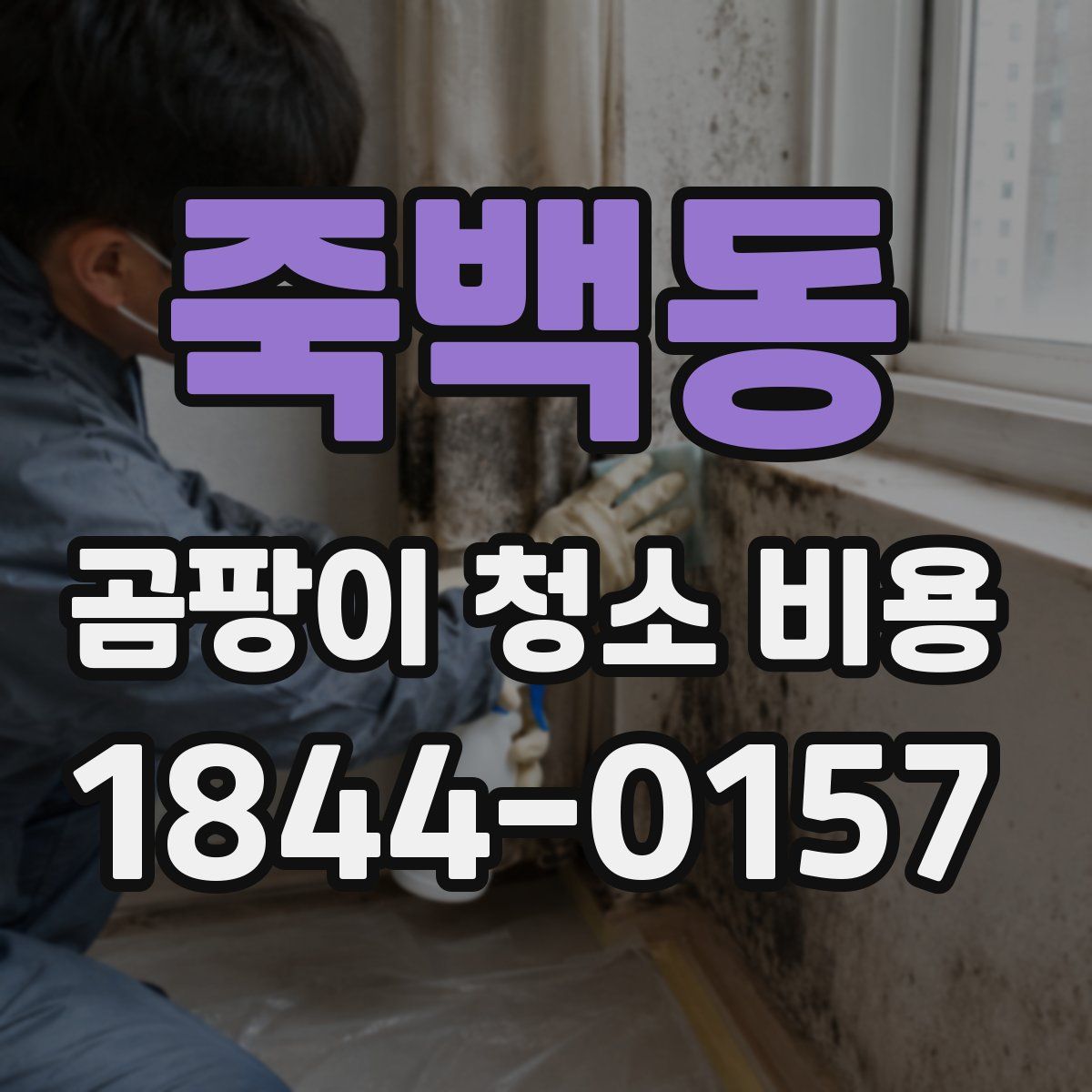 죽백동 곰팡이 청소 비용