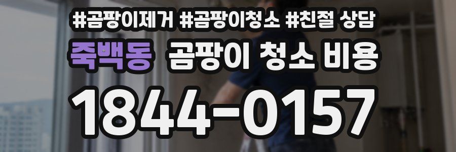 죽백동 곰팡이 청소 비용