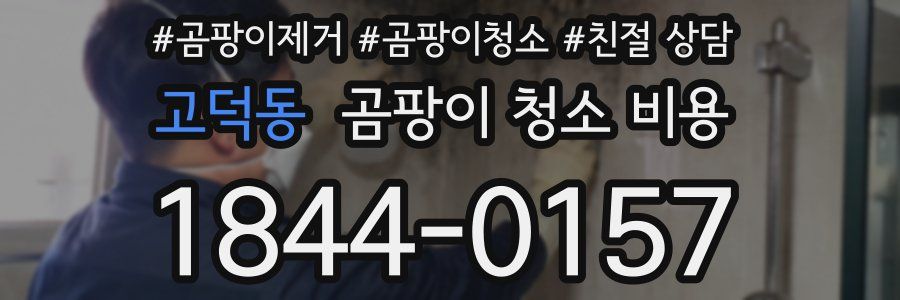 고덕동 곰팡이 청소 비용