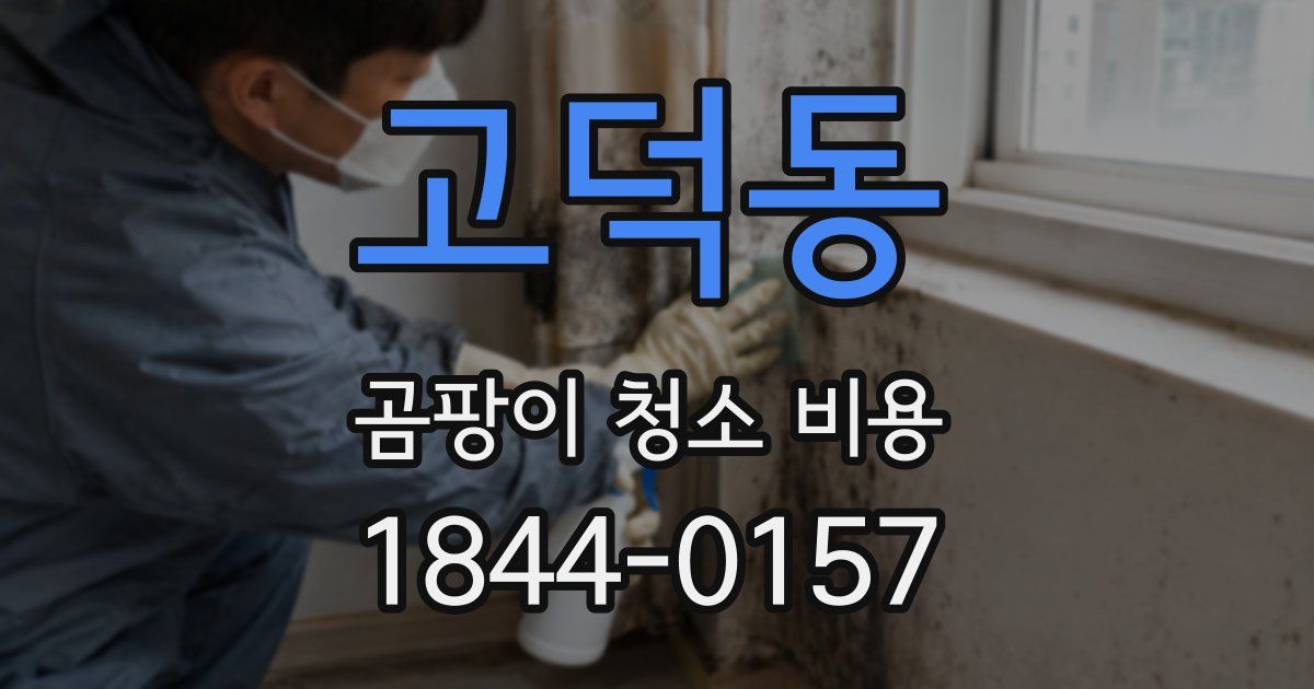 고덕동 곰팡이 청소 비용