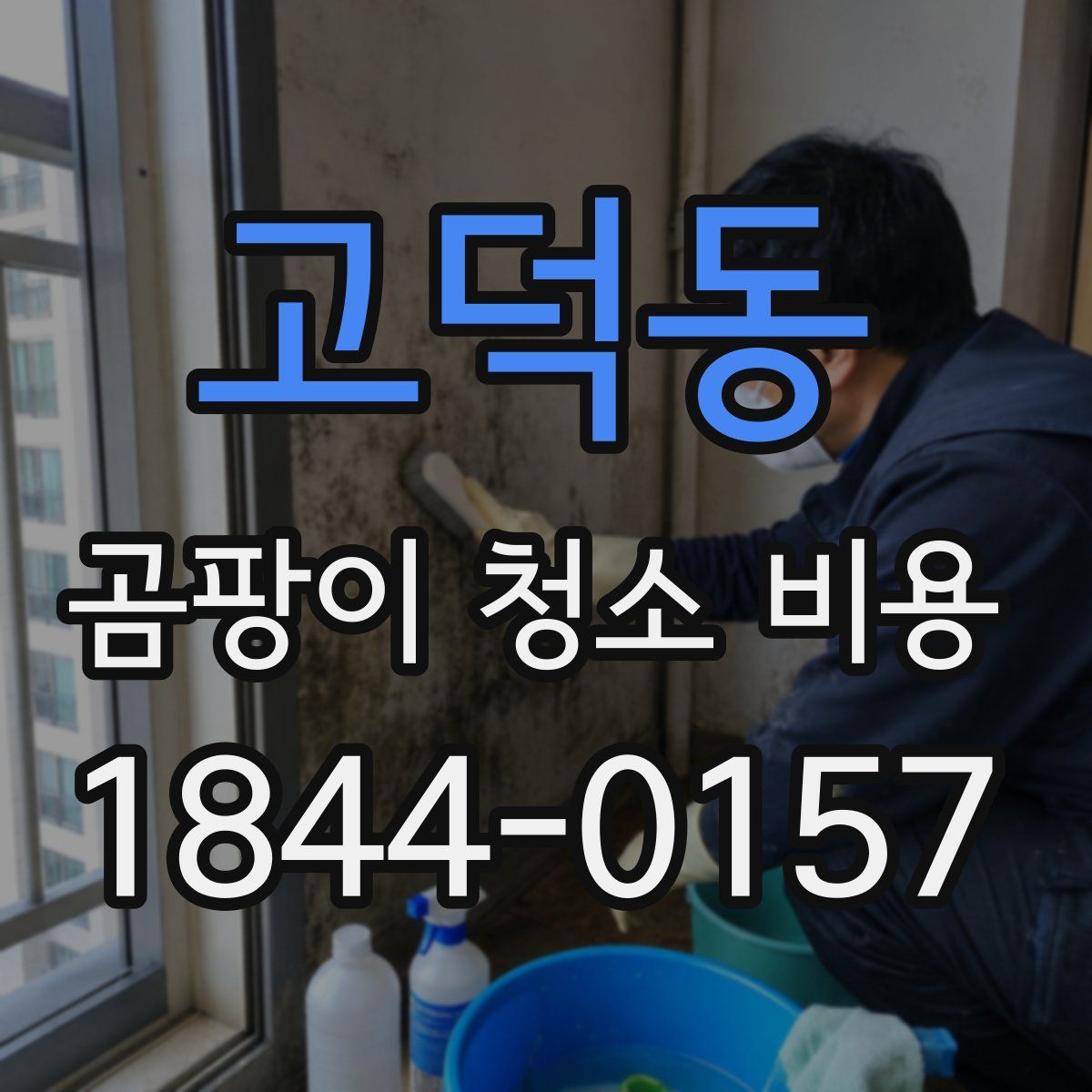 고덕동 곰팡이 청소 비용