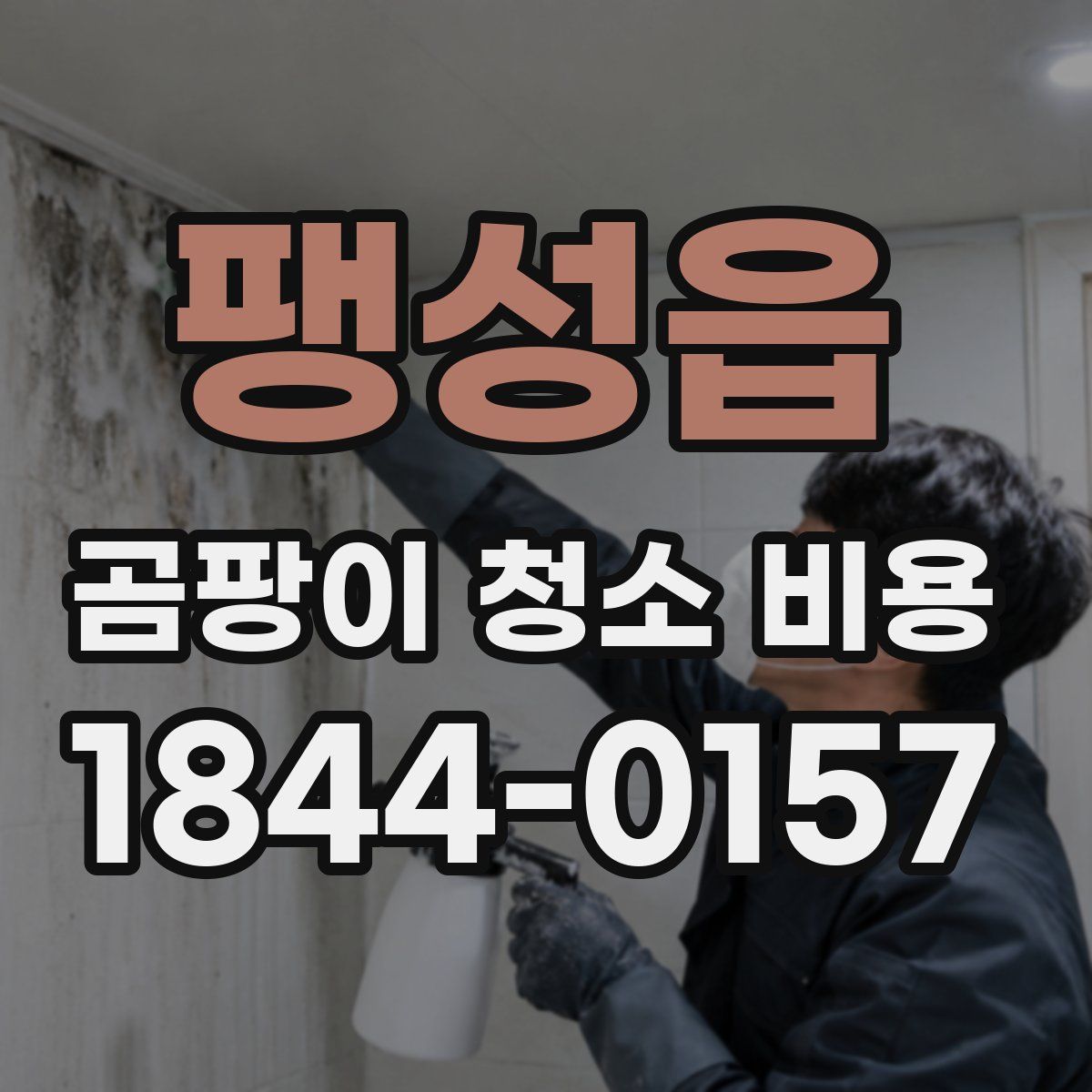 팽성읍 곰팡이 청소 비용