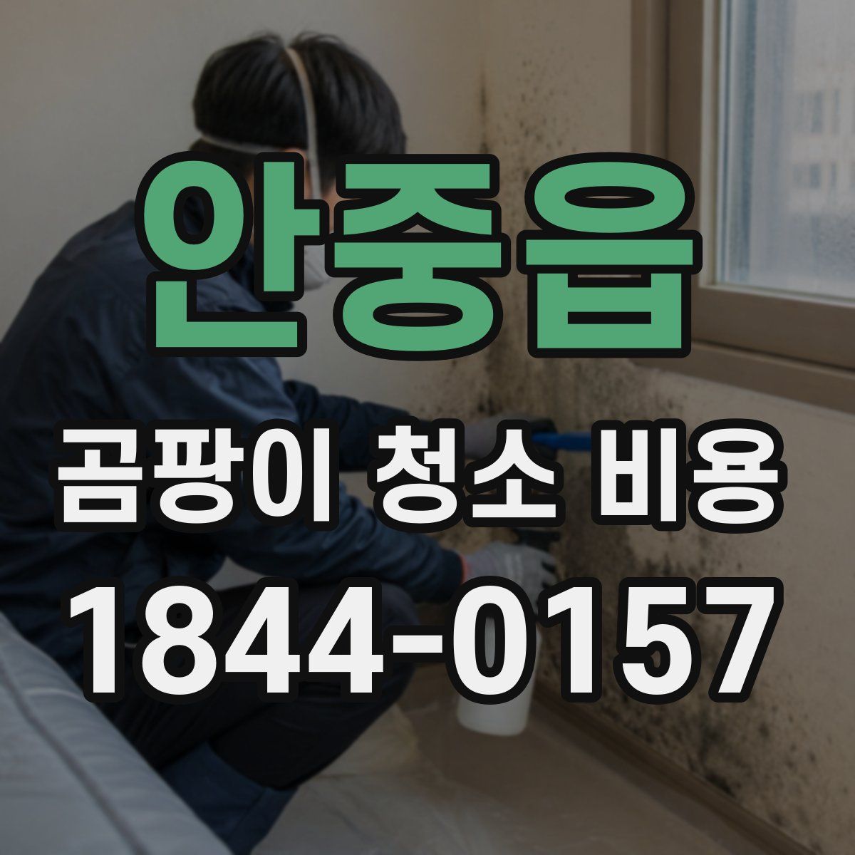 안중읍 곰팡이 청소 비용