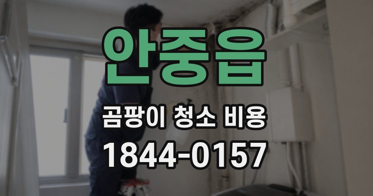 안중읍 곰팡이 청소 비용