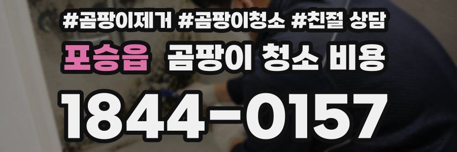포승읍 곰팡이 청소 비용