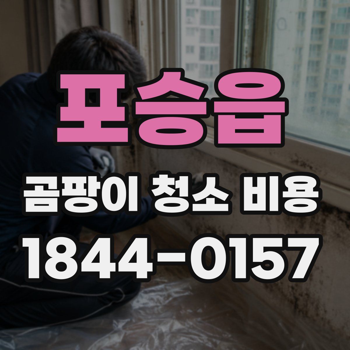 포승읍 곰팡이 청소 비용