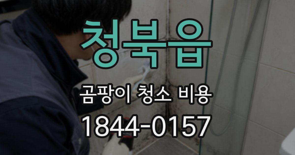청북읍 곰팡이 청소 비용