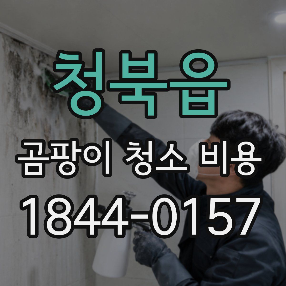 청북읍 곰팡이 청소 비용