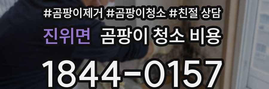 진위면 곰팡이 청소 비용