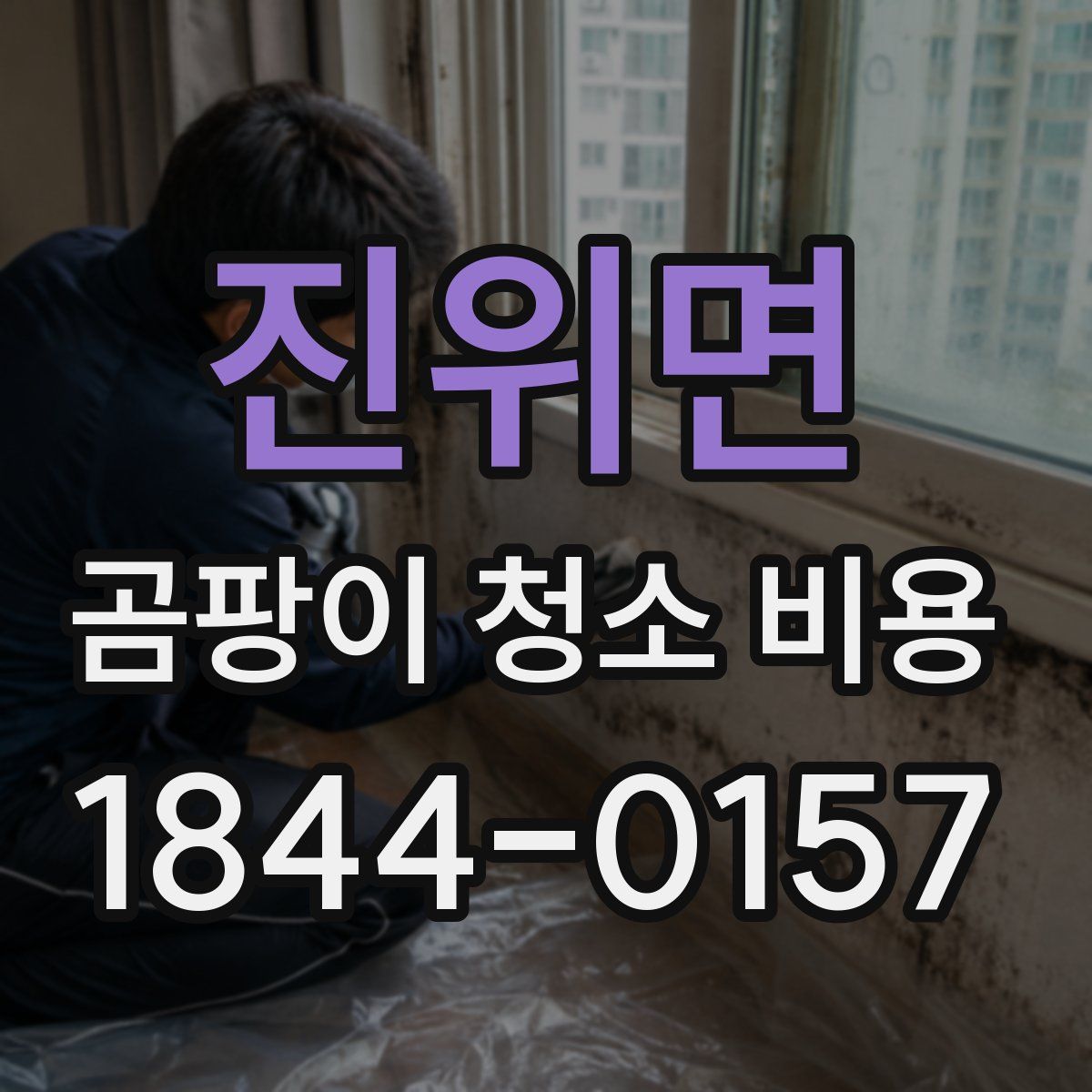 진위면 곰팡이 청소 비용
