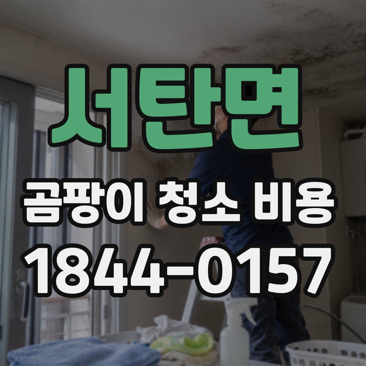 서탄면 곰팡이 청소 비용