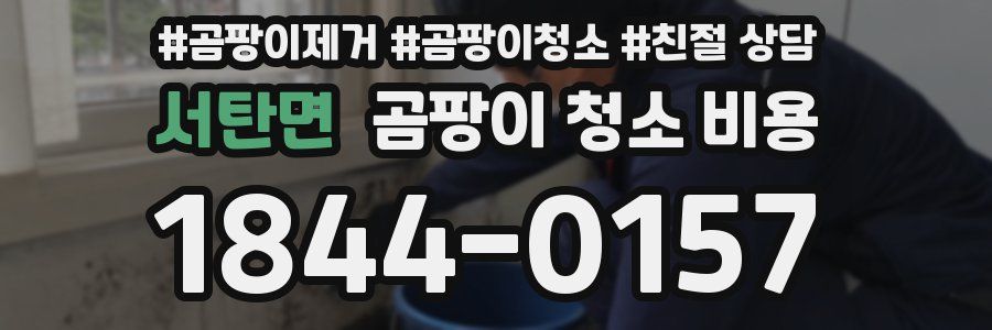 서탄면 곰팡이 청소 비용
