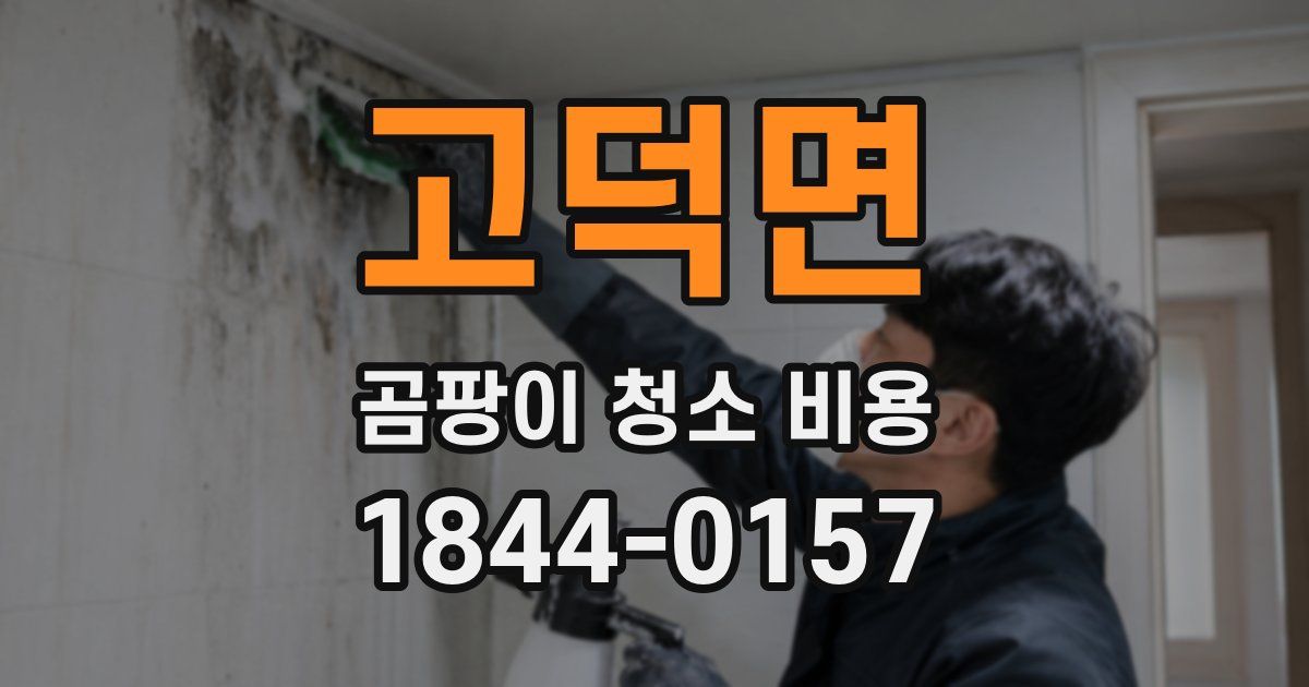 고덕면 곰팡이 청소 비용