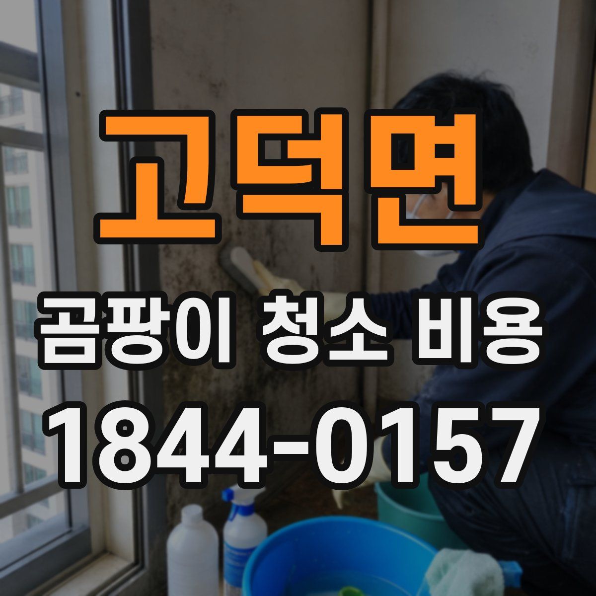 고덕면 곰팡이 청소 비용