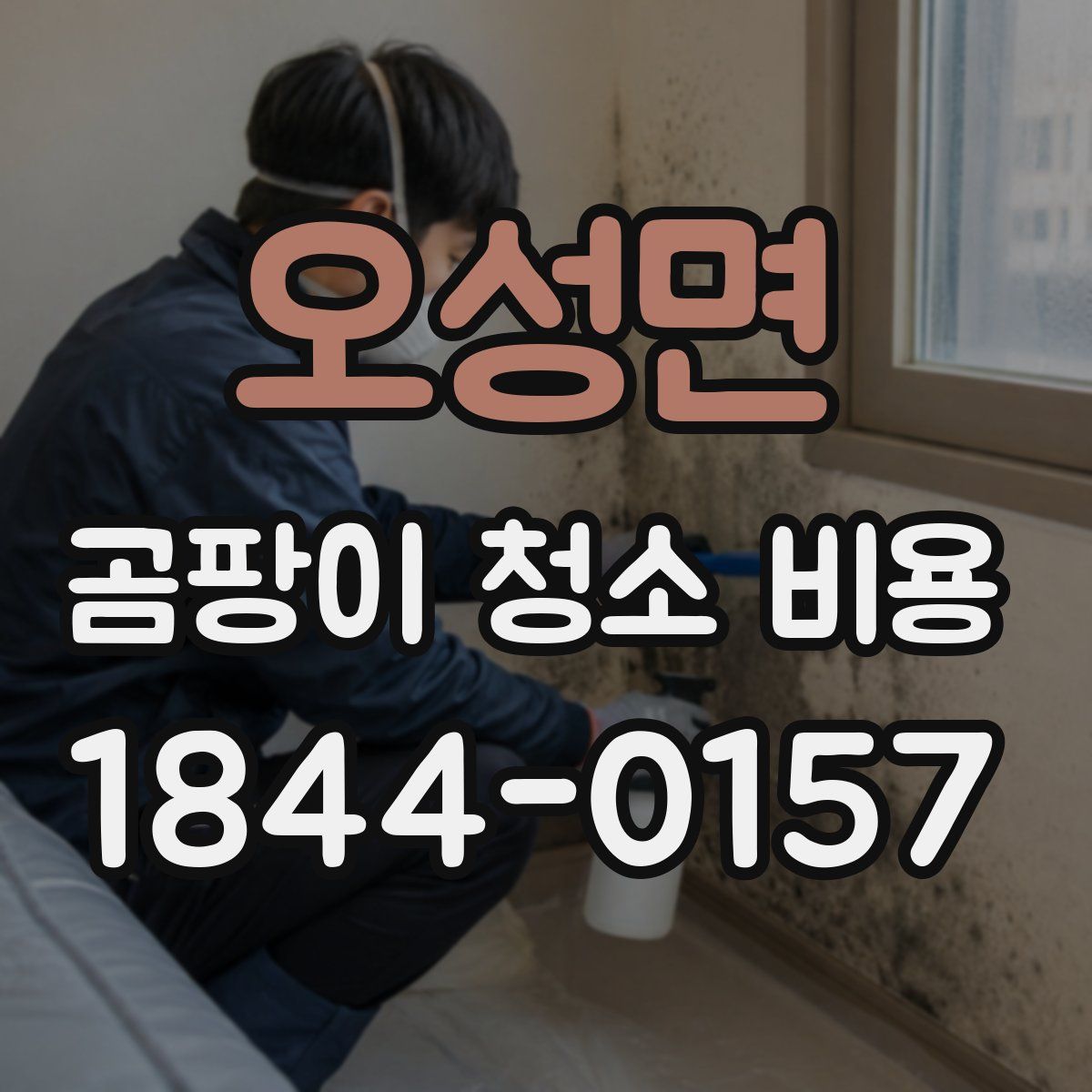 오성면 곰팡이 청소 비용