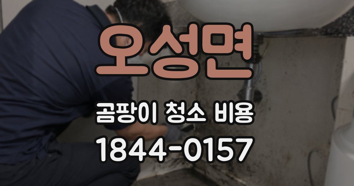 오성면 곰팡이 청소 비용