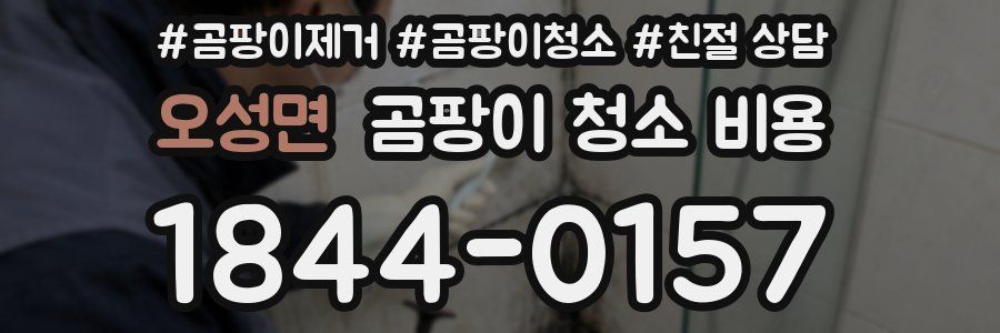 오성면 곰팡이 청소 비용