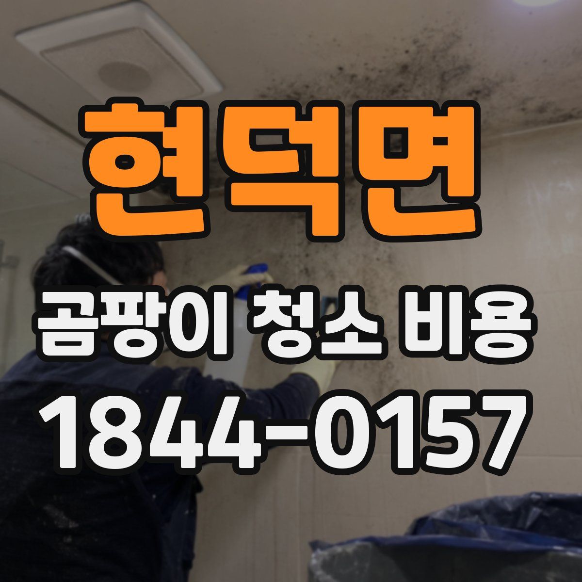 현덕면 곰팡이 청소 비용