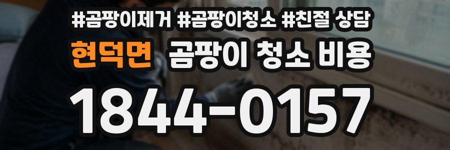현덕면 곰팡이 청소 비용