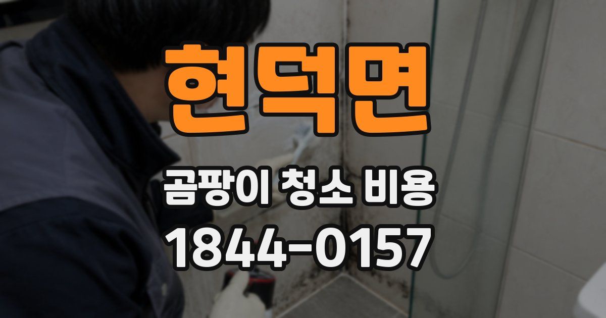 현덕면 곰팡이 청소 비용