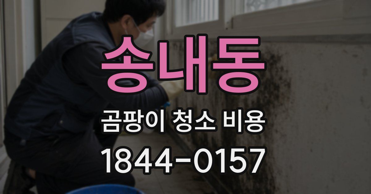 송내동 곰팡이 청소 비용