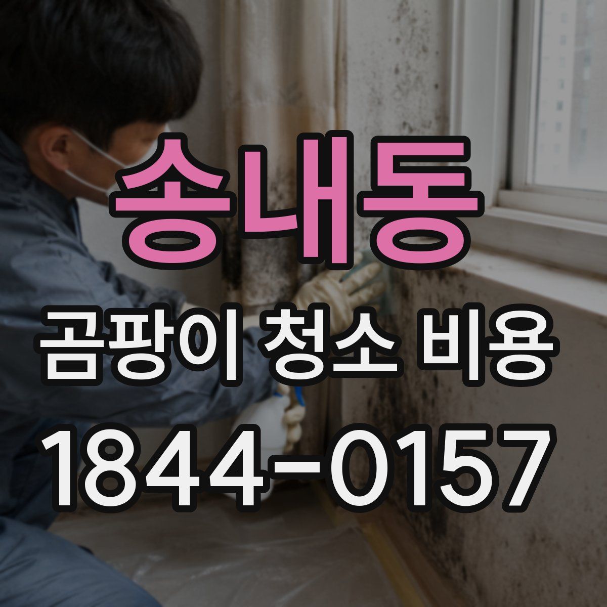 송내동 곰팡이 청소 비용