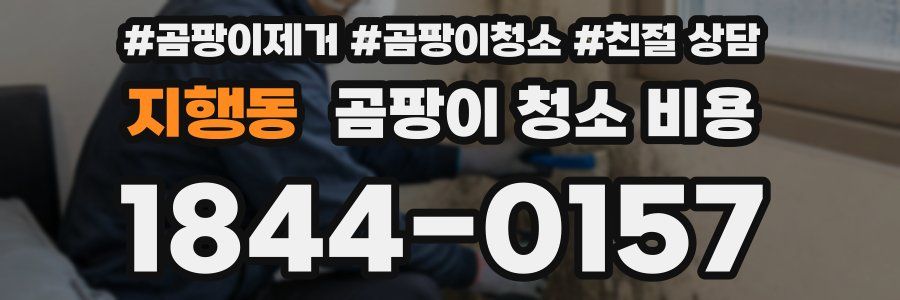 지행동 곰팡이 청소 비용