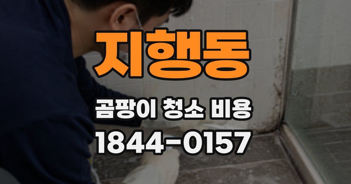 지행동 곰팡이 청소 비용