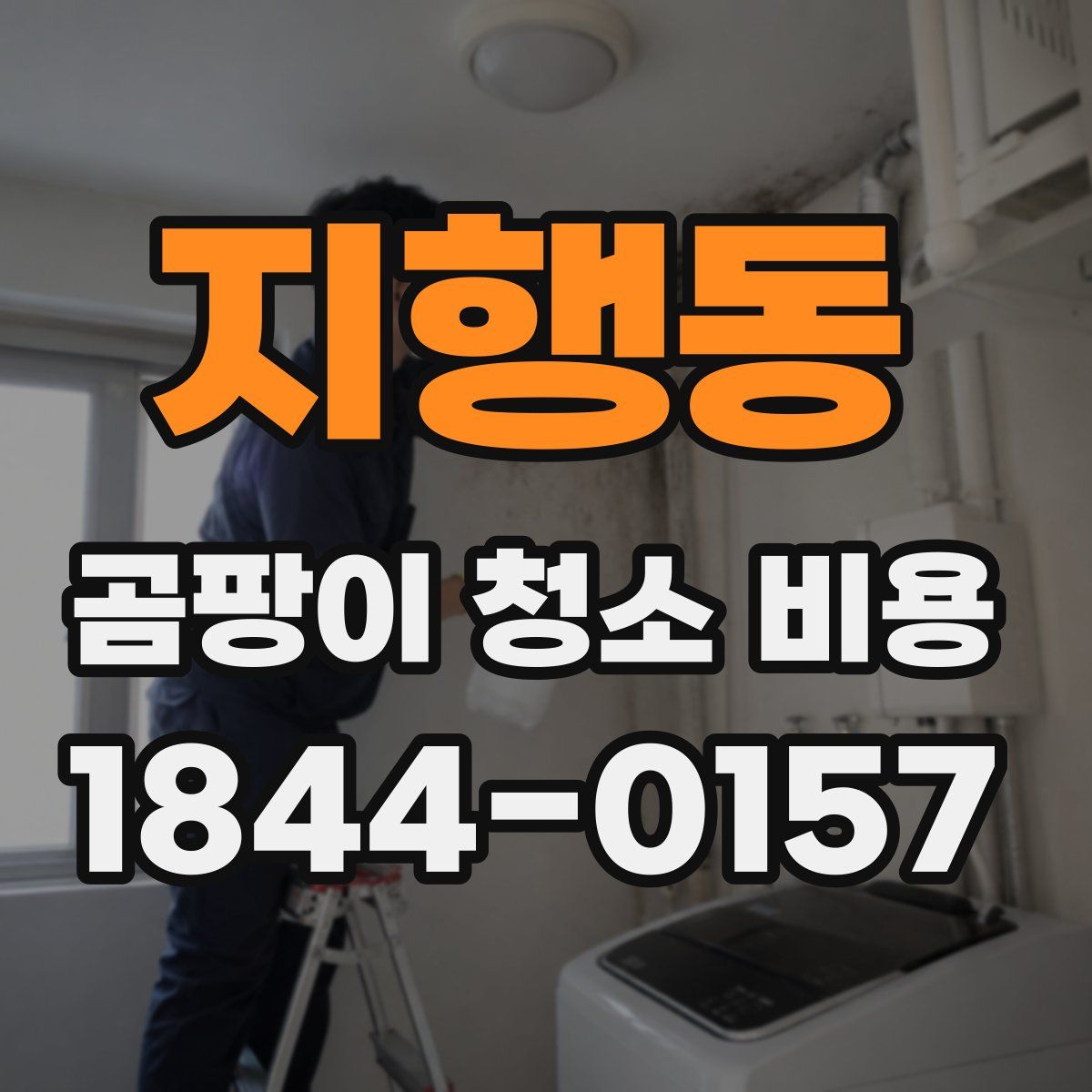 지행동 곰팡이 청소 비용
