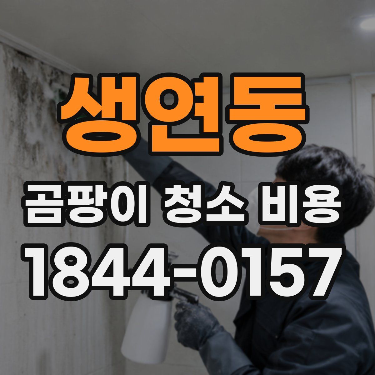 생연동 곰팡이 청소 비용
