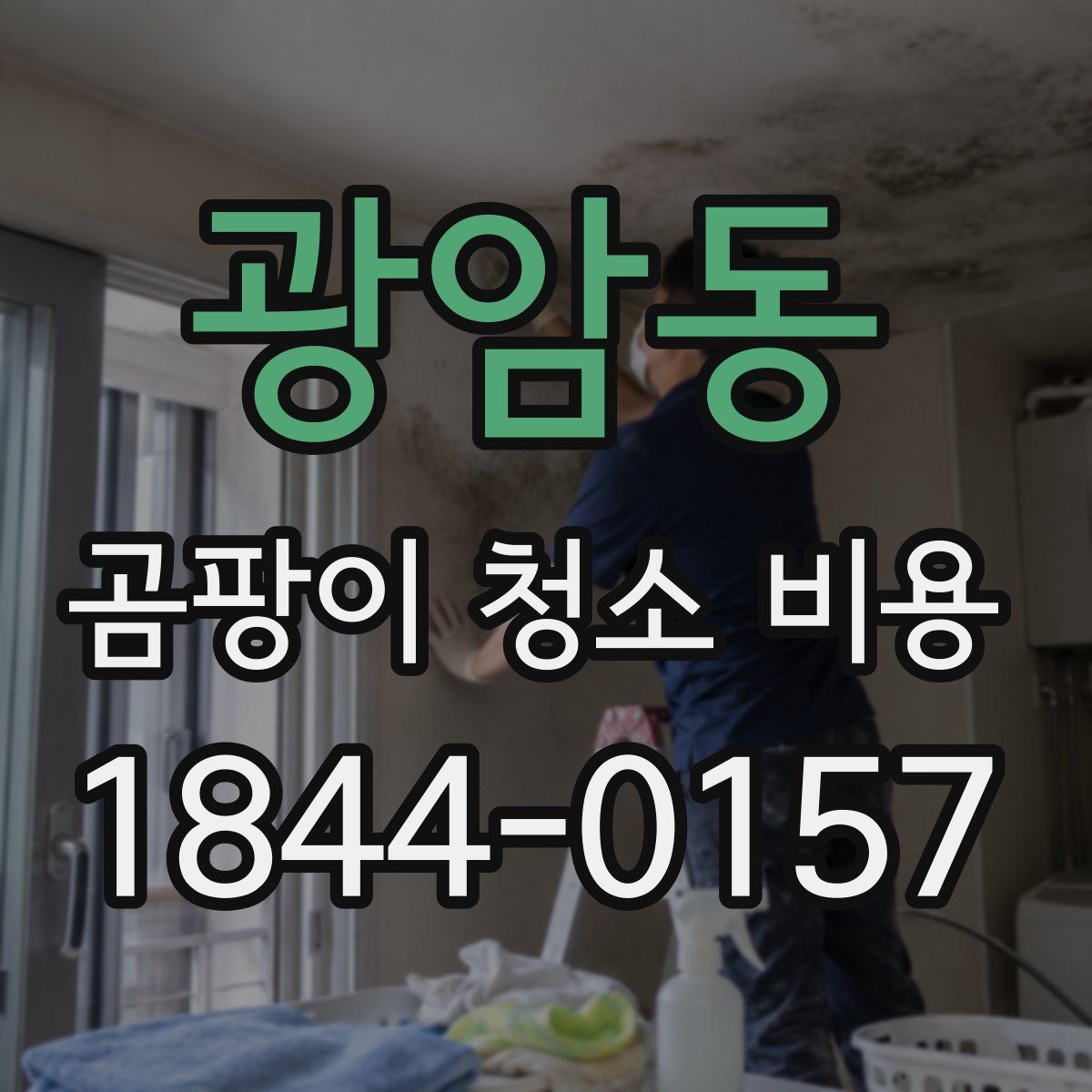 광암동 곰팡이 청소 비용