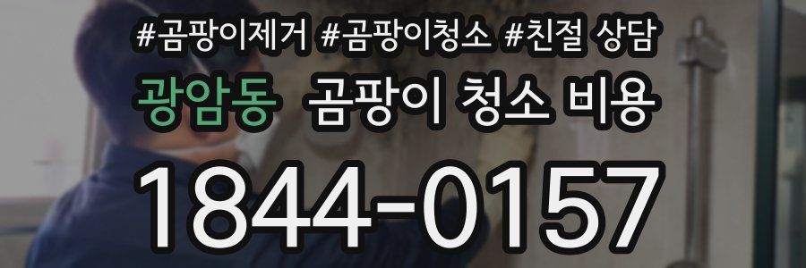 광암동 곰팡이 청소 비용