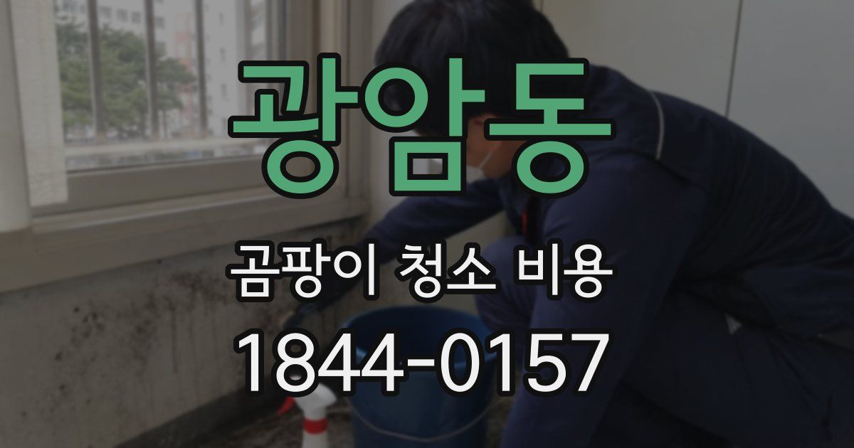 광암동 곰팡이 청소 비용