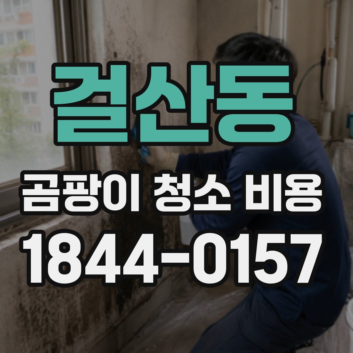 걸산동 곰팡이 청소 비용