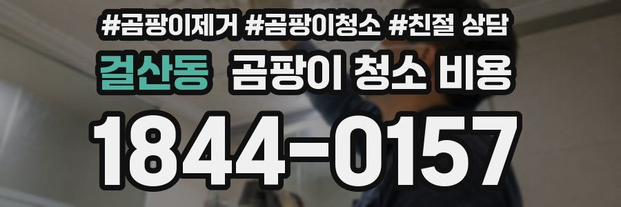 걸산동 곰팡이 청소 비용
