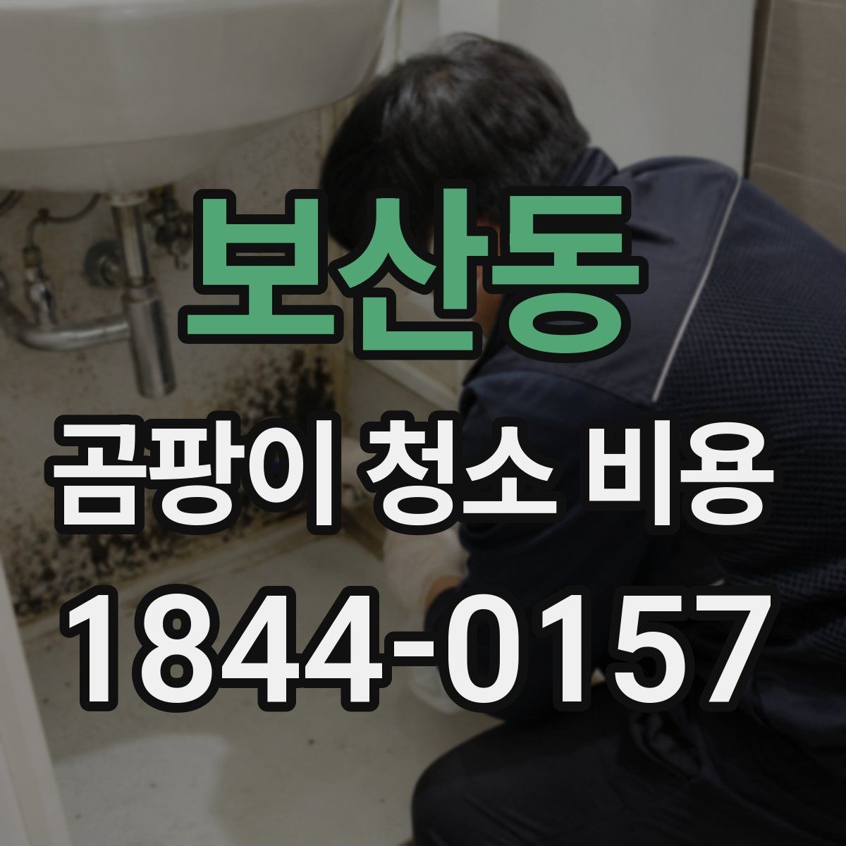 보산동 곰팡이 청소 비용