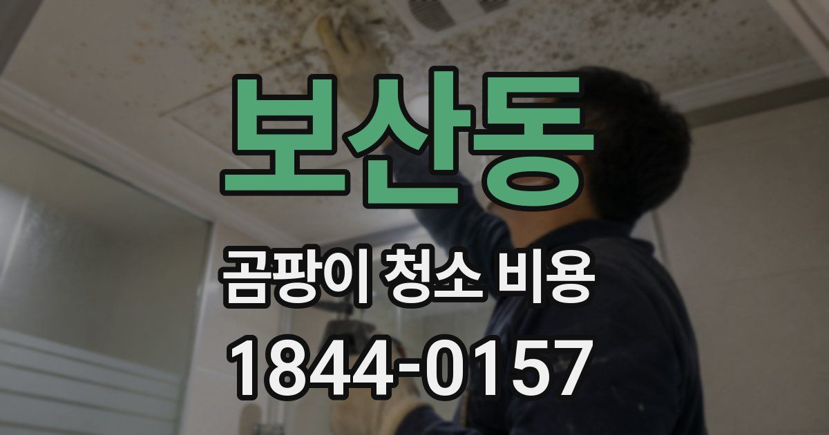 보산동 곰팡이 청소 비용